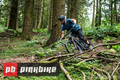 PinkBike | Alpine 6 | July 2016