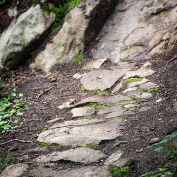 Dreamy trails, with the odd slick rocky challenge here and there.