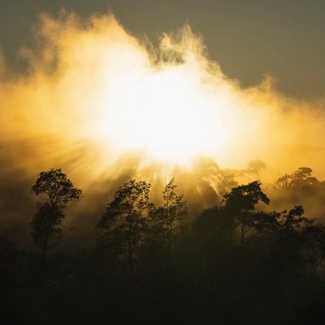 2023 EDR WorldCup Derby, Tasmania2023 EDR WorldCup Derby, Tasmania